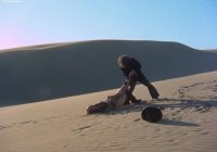 Raped in the desert