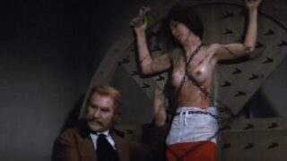 Tokugawa irezumi-shi: Seme jigoku