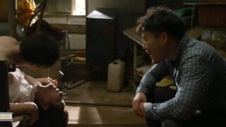 Hwakkeunhan sseobiseu eoneu janinhan miyongsaui