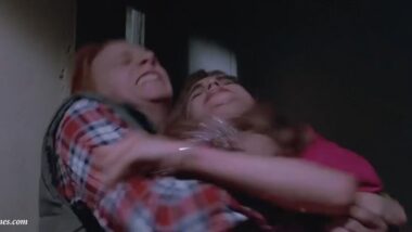 Sydney Conrad Shapiro rape, The Bedroom Window (1987)