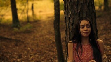 Sydney Wease rape, Hap and Leonard (TV Series)